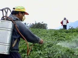 Εντομοκτόνα